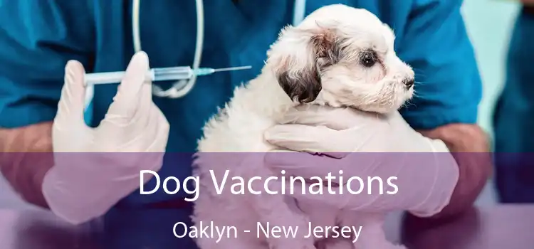 Dog Vaccinations Oaklyn - New Jersey