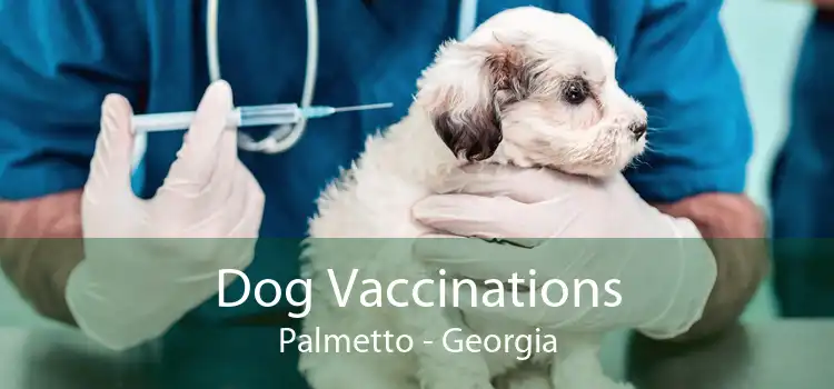 Dog Vaccinations Palmetto - Georgia