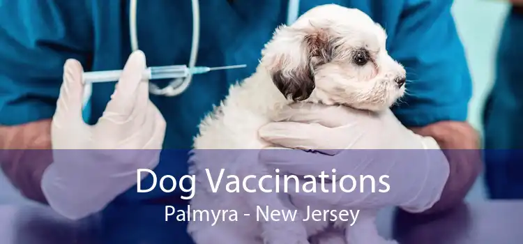 Dog Vaccinations Palmyra - New Jersey
