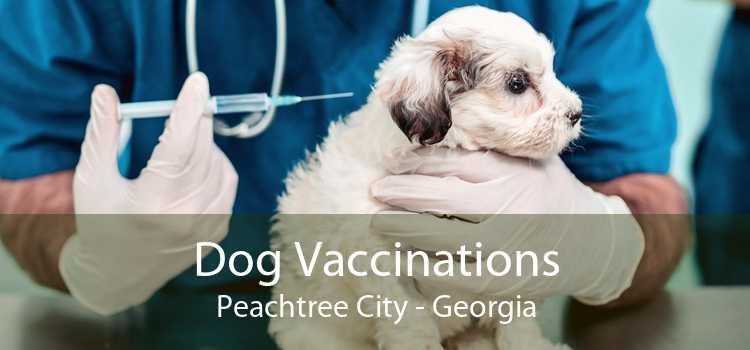 Dog Vaccinations Peachtree City - Georgia