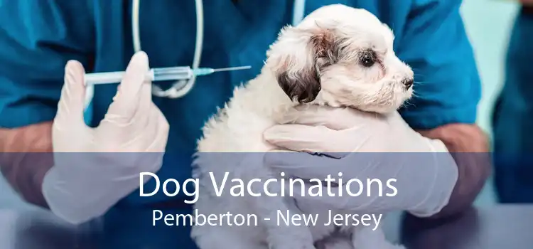 Dog Vaccinations Pemberton - New Jersey