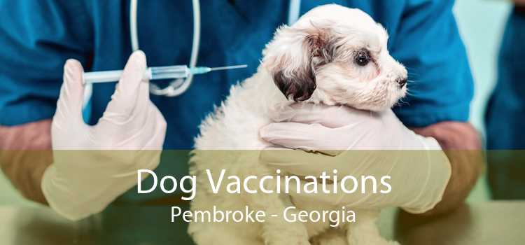 Dog Vaccinations Pembroke - Georgia