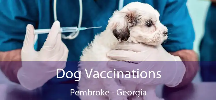 Dog Vaccinations Pembroke - Georgia