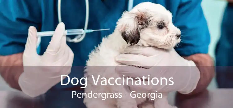 Dog Vaccinations Pendergrass - Georgia
