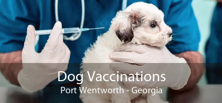 Dog Vaccinations Port Wentworth - Georgia