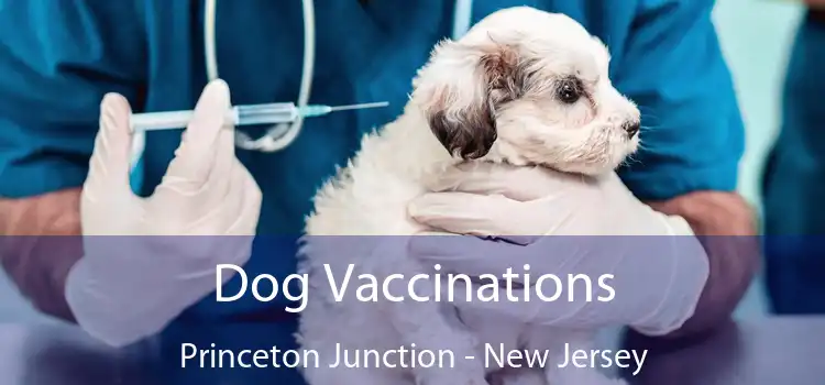 Dog Vaccinations Princeton Junction - New Jersey