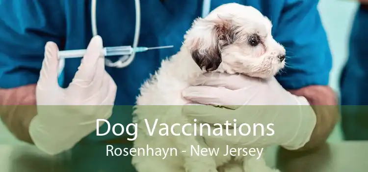 Dog Vaccinations Rosenhayn - New Jersey