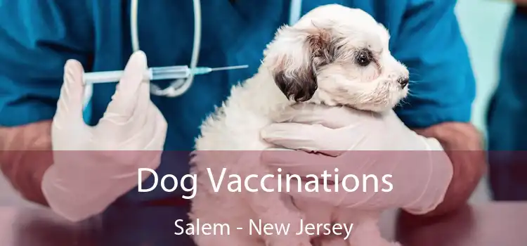 Dog Vaccinations Salem - New Jersey