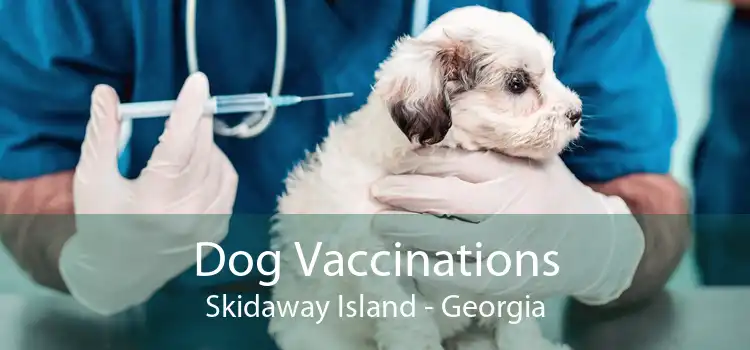 Dog Vaccinations Skidaway Island - Georgia