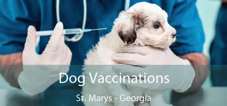 Dog Vaccinations St. Marys - Georgia