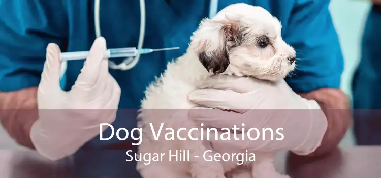 Dog Vaccinations Sugar Hill - Georgia