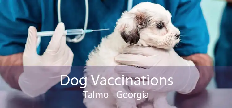 Dog Vaccinations Talmo - Georgia