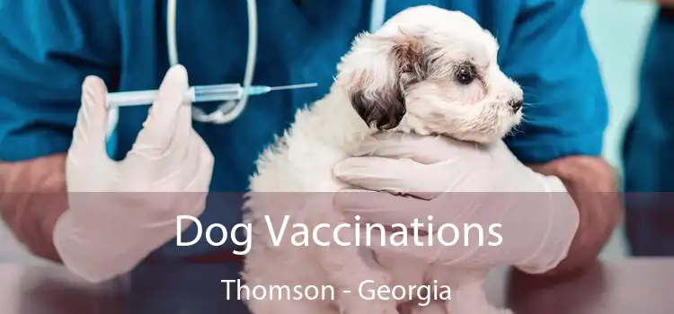 Dog Vaccinations Thomson - Georgia