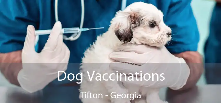 Dog Vaccinations Tifton - Georgia