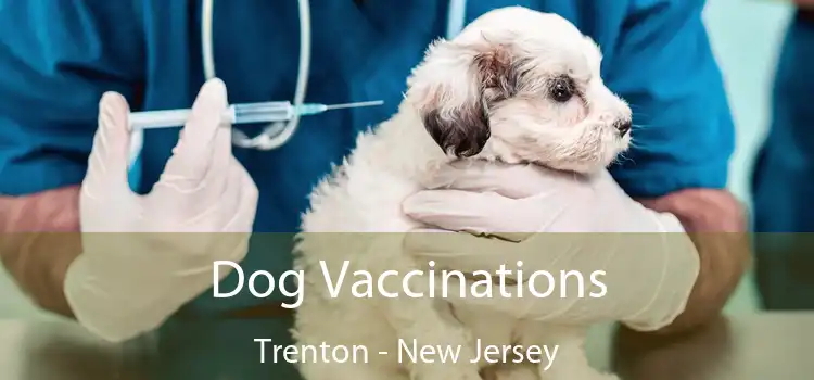 Dog Vaccinations Trenton - New Jersey