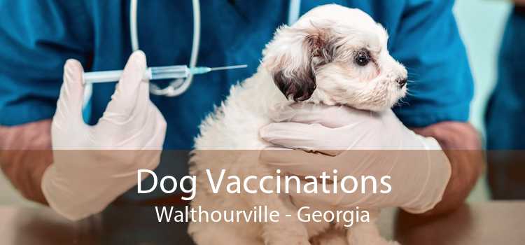 Dog Vaccinations Walthourville - Georgia