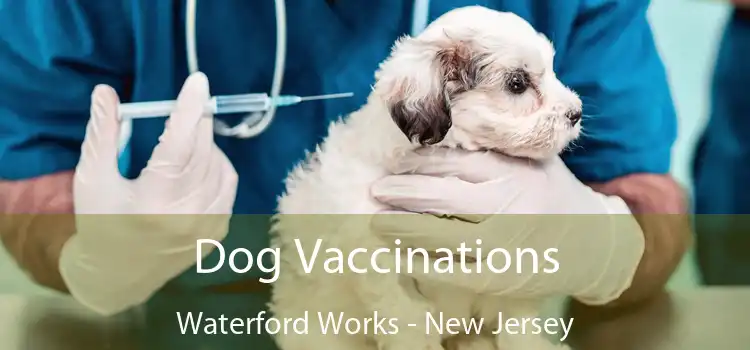 Dog Vaccinations Waterford Works - New Jersey