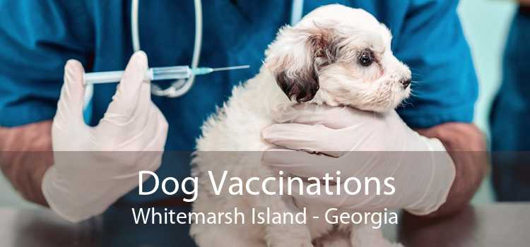Dog Vaccinations Whitemarsh Island - Georgia