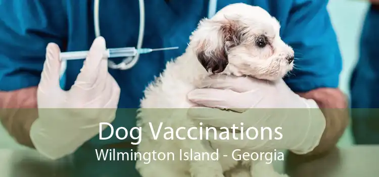 Dog Vaccinations Wilmington Island - Georgia