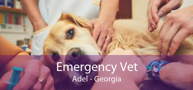 Emergency Vet Adel - Georgia