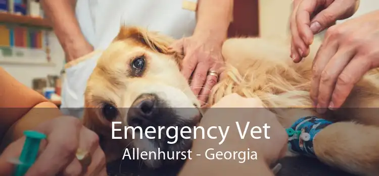 Emergency Vet Allenhurst - Georgia