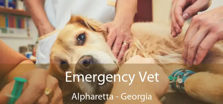 Emergency Vet Alpharetta - Georgia