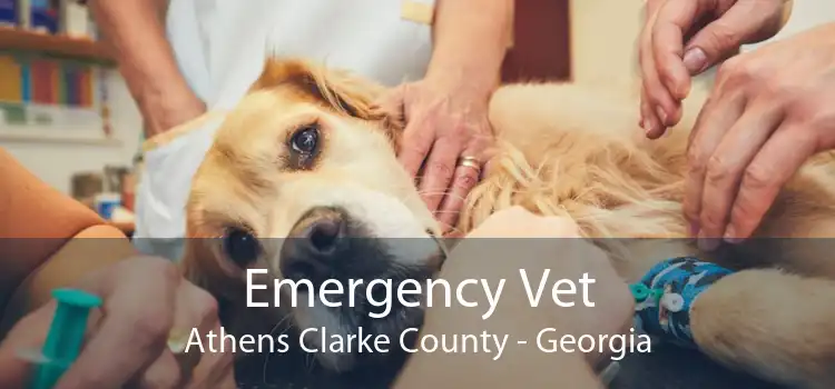 Emergency Vet Athens Clarke County - Georgia