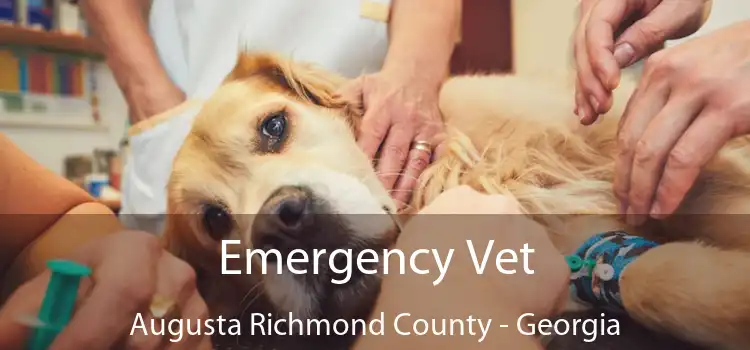 Emergency Vet Augusta Richmond County - Georgia