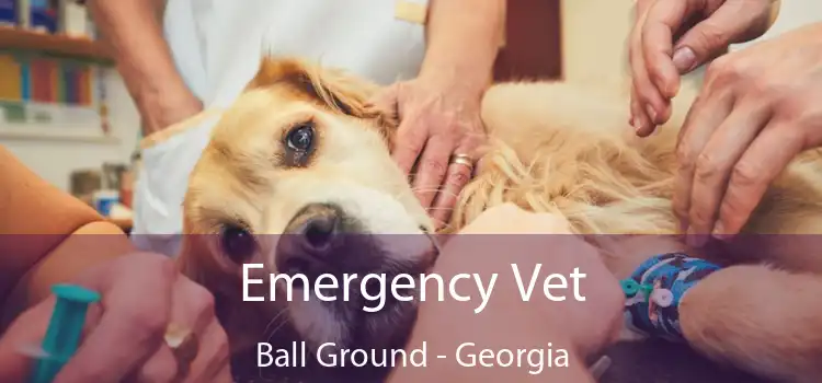 Emergency Vet Ball Ground - Georgia