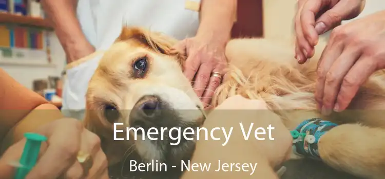 Emergency Vet Berlin - New Jersey