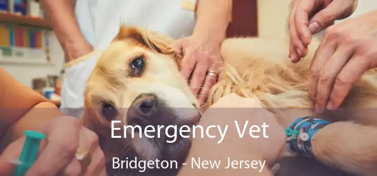 Emergency Vet Bridgeton - New Jersey