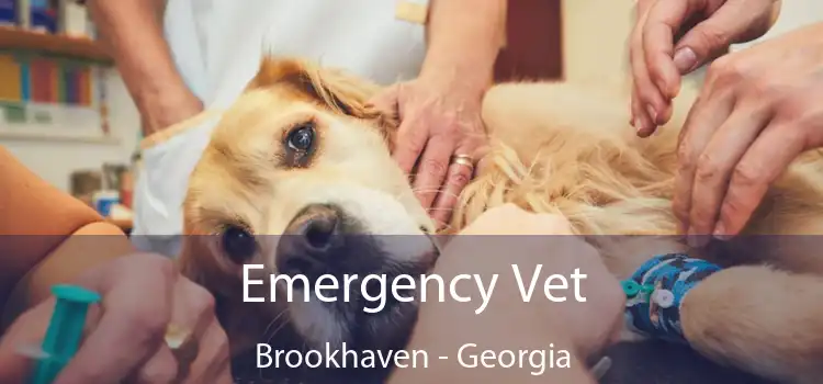 Emergency Vet Brookhaven - Georgia