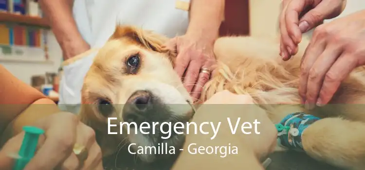 Emergency Vet Camilla - Georgia