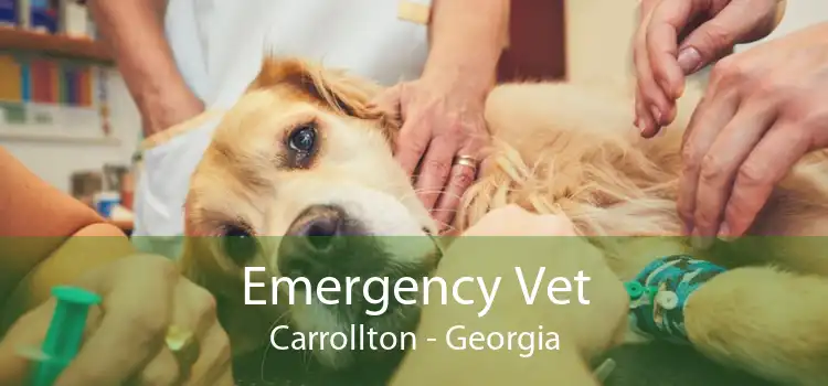 Emergency Vet Carrollton - Georgia
