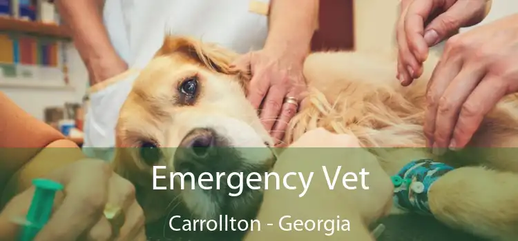 Emergency Vet Carrollton - Georgia