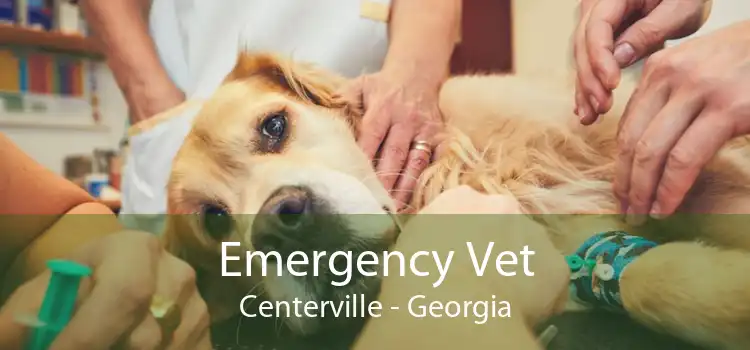 Emergency Vet Centerville - Georgia