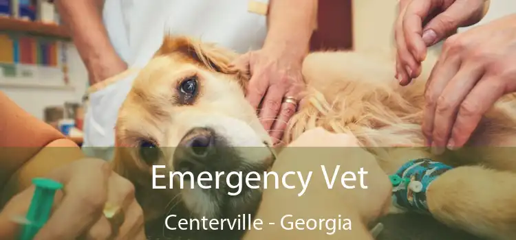 Emergency Vet Centerville - Georgia