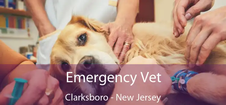 Emergency Vet Clarksboro - New Jersey