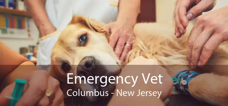 Emergency Vet Columbus - New Jersey