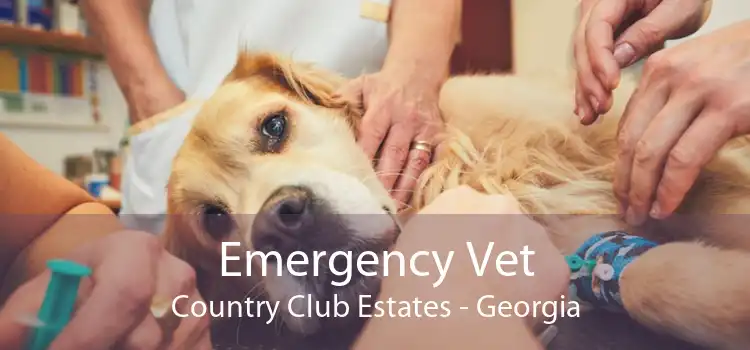 Emergency Vet Country Club Estates - Georgia