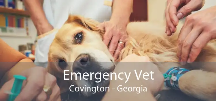 Emergency Vet Covington - Georgia