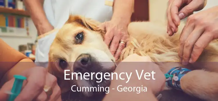 Emergency Vet Cumming - Georgia