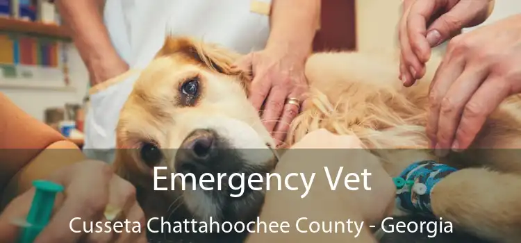 Emergency Vet Cusseta Chattahoochee County - Georgia