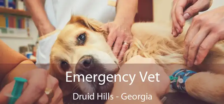 Emergency Vet Druid Hills - Georgia