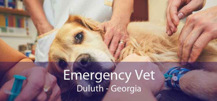 Emergency Vet Duluth - Georgia