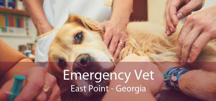 Emergency Vet East Point - Georgia