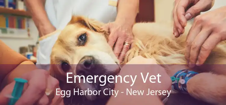 Emergency Vet Egg Harbor City - New Jersey