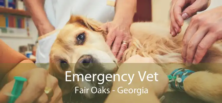 Emergency Vet Fair Oaks - Georgia