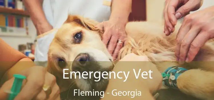 Emergency Vet Fleming - Georgia