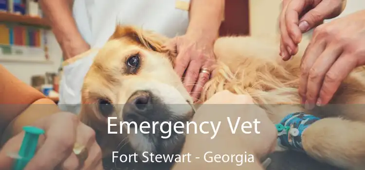 Emergency Vet Fort Stewart - Georgia